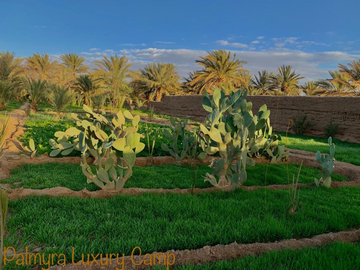 Palmyra Luxury Camp Ξενοδοχείο Merzouga Εξωτερικό φωτογραφία